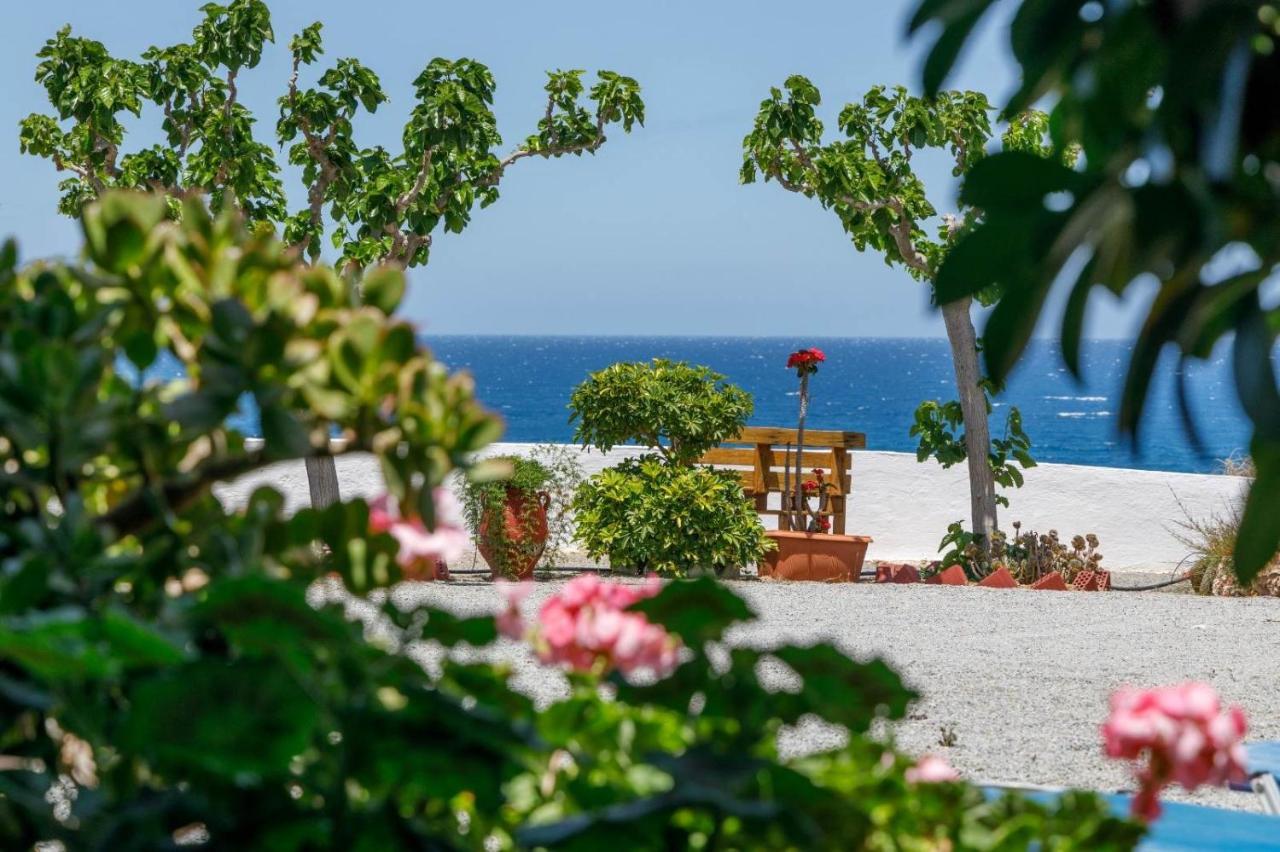 Creta Sun Móhlosz Kültér fotó